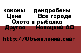 коконы    дендробены › Цена ­ 25 - Все города Охота и рыбалка » Другое   . Ненецкий АО